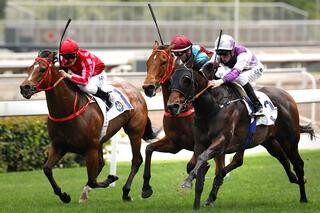 Rattan (NZ) claims the G2 Sprint Cup at Sha Tin on Sunday. Photo Cred: HKJC