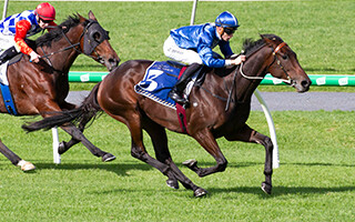 Oceanex (NZ) claims Port Adelaide Cup. Photo: Atkins Photography