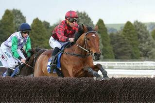 Tallyho Twinkletoe (NZ) claiming the Grand National Steeplechase. Picture: Racing Photos