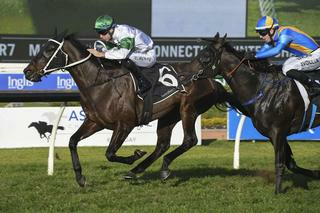Seaway (NZ) (Ocean Park) claims the Listed Winter Challenge (1500m) at Rosehill.